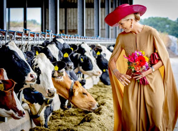 08-09-2026 Drenthe Queen Maxima visited the diary farm of the family Riedstra-Hoving in Veenhuizen, Drenthe. Â  Copyright: xPPEx