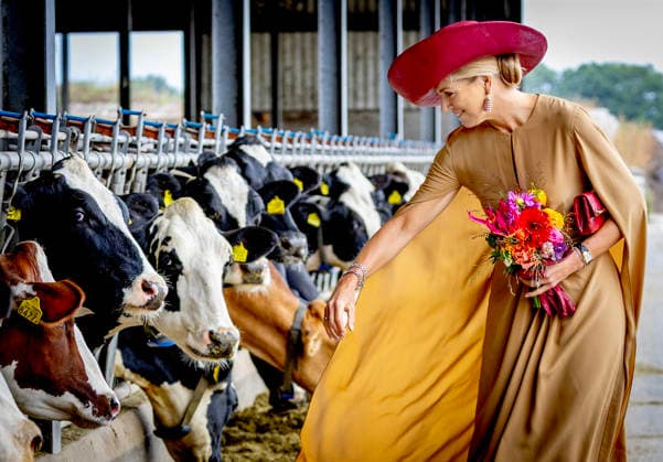 08-09-2026 Drenthe Queen Maxima visited the diary farm of the family Riedstra-Hoving in Veenhuizen, Drenthe. Â  Copyright: xPPEx