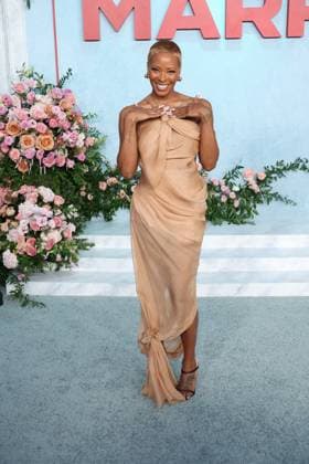 Premiere of Why Did I Get Married Again? Netflix s Why Did I Get Married Again? at Harmony Gold Preview House on September 08, 2026 Credit: AdMedia. 08 Sep 2026 Pictured: Eva Marcille.  Copyright: xThexMegaxAgencyxAdMediax xMEGAx