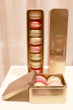 Opening of the Céline Dion Pop-Up Store at Galeries Lafayette in Paris, in conjunction with her concert series at the Plénitude Arena on September 9, 2026. From September 3 to October 5, 2026, fans will be able to find all kinds of merchandise, such as Maje T-shirts, exclusive collaborations with Pierre Hermé Paris, gloves, shopping bags. Visitors to the pop-up will have the opportunity to scan a QR code for a chance to win one of four pairs of tickets up for grabs for Céline Dion’s concerts. Christophe Aubert Bestimage A pop-up store dedicated to Céline Dion is opening at Galeries Lafayette in Paris on September 9, 2026, to coincide with her concert series at the Plénitude Arena. From September 3 to October 5, 2026, fans will be able to f Copyright: xChristophexAubertx xBestimagexChristophexAubertx xBestimagex
