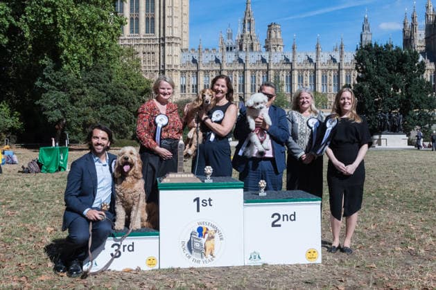 September 10, 2026, London, England, United Kingdom: Anna McMorrin MP and her working cocker spaniel Cadi (1st place), Karl Turner MP and his bichon frise Charlie (2nd place) and Bobby Dean MP with his goldendoodle Chester (3rd place) pose on the podium after being declared the winners of the Westminster Dog of the Year competition. The annual event is a celebration of the unique bond between dogs and their owners, and gives parliamentarians the opportunity to highlight the important work that they ve undertaken in Parliament on dog related matters, whilst promoting responsible dog ownership. London United Kingdom  - ZUMAs371 20260910_zip_s371_005 Copyright: xWiktorxSzymanowiczx