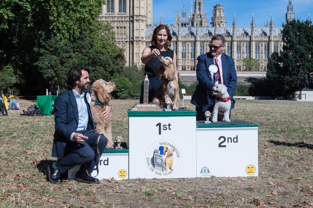 September 10, 2026, London, England, United Kingdom: Anna McMorrin MP and her working cocker spaniel Cadi (1st place), Karl Turner MP and his bichon frise Charlie (2nd place) and Bobby Dean MP with his goldendoodle Chester (3rd place) pose on the podium after being declared the winners of the Westminster Dog of the Year competition. The annual event is a celebration of the unique bond between dogs and their owners, and gives parliamentarians the opportunity to highlight the important work that they ve undertaken in Parliament on dog related matters, whilst promoting responsible dog ownership. London United Kingdom - ZUMAs371 20260910_zip_s371_008 Copyright: xWiktorxSzymanowiczx