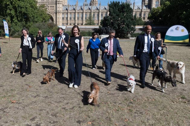 September 10, 2026, London, England, United Kingdom: Members of Parliament and their canine companions take part in the Westminster Dog of the Year competition in the Victoria Tower Gardens. The event is a celebration of the unique bond between dogs and their owners, and gives parliamentarians the opportunity to highlight the important work that they ve undertaken in Parliament on dog related matters, whilst promoting responsible dog ownership. London United Kingdom  - ZUMAs371 20260910_zip_s371_017 Copyright: xWiktorxSzymanowiczx