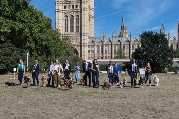 September 10, 2026, London, England, United Kingdom: Members of Parliament and their canine companions take part in the Westminster Dog of the Year competition in the Victoria Tower Gardens. The event is a celebration of the unique bond between dogs and their owners, and gives parliamentarians the opportunity to highlight the important work that they ve undertaken in Parliament on dog related matters, whilst promoting responsible dog ownership. London United Kingdom  - ZUMAs371 20260910_zip_s371_019 Copyright: xWiktorxSzymanowiczx