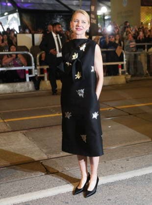September 10, 2026, Toronto, On, CANADA: Actress Naomi Watts poses for photographs for the movie The Housewife during the Toronto International Film Festival in Toronto on Thursday, Sept. 10, 2026. Toronto CANADA  - ZUMAc35_ 20260910_zaf_c35_177 Copyright: xNathanxDenettex