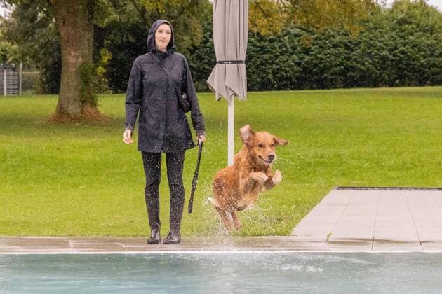 Dog Swimming at the Werne Outdoor Pool ** FOR EDITORIAL USE ONLY ** EDITORIAL USE ONLY ** p On Sunday, September 13, 2026, the Werne Outdoor Pool, part of Wasserwelten Bochum, opened its doors for the Dog Swim event in Germany, North Rhine-Westphalia, Bochum. Copyright MichaelxSchwalm Copyright: MichaelxSchwalm doc87l08m7fwt585gm0ez4 ,EDITORIAL USE ONLY Copyright: MichaelxSchwalm