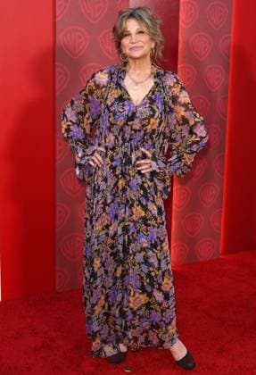 Warner Bros Television Group s 78th Primetime Emmy Awards Nominees Celebration in Los Angeles Warner Bros Television Group s 78th Primetime Emmy Awards Nominees Celebration at Boa in Hollywood, California on 9 13 26. 13 Sep 2026 Pictured: Gigi Rice.  Copyright: xThexMegaxAgencyxRiverx xMEGAx
