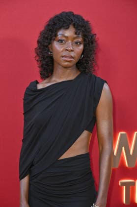 Danielle Deadwyler at the Warner Bros. Television Group s 78th Primetime Emmy Awards Nominees Party at BOA Steakhouse in West Hollywood, September 13, 2026 Foto:xD.xStarbuckx xFuturexImagex warner_6892