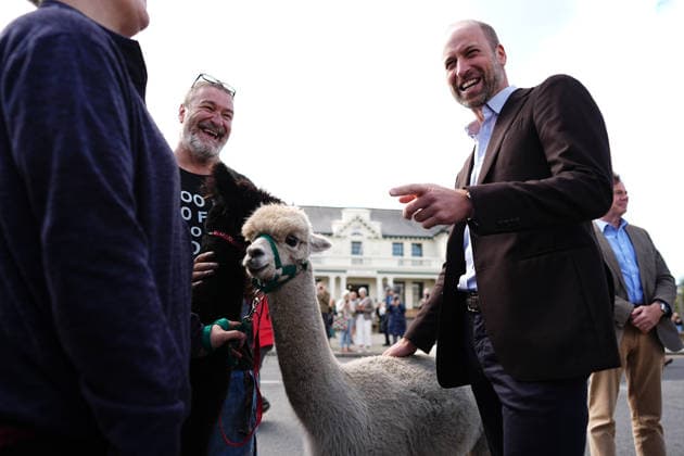 . 15 09 2026. Princetown, United Kingdom. Prince William, the Prince of Wales, meets an alpaca during a visit to Princetown in Dartmoor, United Kingdom, to launch the new Princetown Community Fund.  xPoolx xi-Imagesx IIM-27006-0025