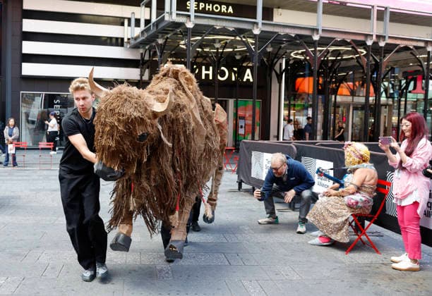 Two life-size buffalo puppets arrive in Times Square ahead of the two-day event Return of the Buffalo: Tatanka Owe Akupi on Tuesday, September 15, 2026 in New York City. The herd of 40 life-sized buffalo puppets will stampede through the streets of Lower Manhattan on September 18 and Downtown Brooklyn on September 19.  NYP20260915124 JOHNxANGELILLO