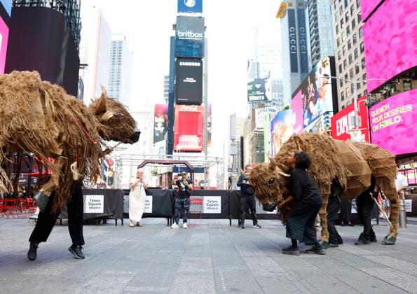 Two life-size buffalo puppets arrive in Times Square ahead of the two-day event Return of the Buffalo: Tatanka Owe Akupi on Tuesday, September 15, 2026 in New York City. The herd of 40 life-sized buffalo puppets will stampede through the streets of Lower Manhattan on September 18 and Downtown Brooklyn on September 19.  NYP20260915120 JOHNxANGELILLO