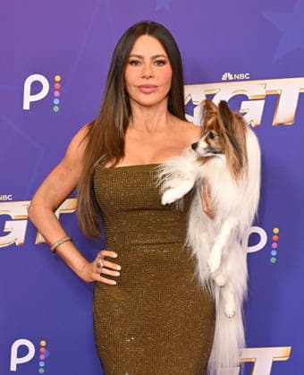 Entertainment Bilder des Tages #2 America™s Got Talent Season 21 - Semifinals Red Carpet Sofia Vergara and Zeek on the red carpet at America™s Got Talent Season 21 - Semifinals held at the Hotel Dean on September 15, 2026 in Pasadena CA. Pasadena Hotel Dena California USA Copyright: xLISAxOConnorx xAFF-USA.comx