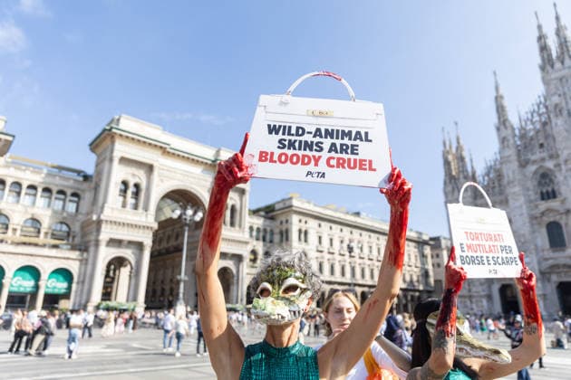PETA’s Animal Rights Flash Mob Kicks Off Fashion Week - Milan Start of Fashion Week: a PETA animal rights flash mob featuring two women wearing crocodile masks and with their hands painted red to denounce violence against exotic animals for the production of leather shoes, belts, and handbags. Milan, Italy on September 22, 2026. Photo by fotogramma IPA ABACAPRESS.COM Milan Italy  Copyright: xFotogramma IPA ABACAx