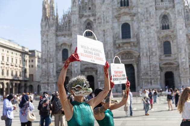 PETA’s Animal Rights Flash Mob Kicks Off Fashion Week - Milan Start of Fashion Week: a PETA animal rights flash mob featuring two women wearing crocodile masks and with their hands painted red to denounce violence against exotic animals for the production of leather shoes, belts, and handbags. Milan, Italy on September 22, 2026. Photo by fotogramma IPA ABACAPRESS.COM Milan Italy  Copyright: xFotogramma IPA ABACAx