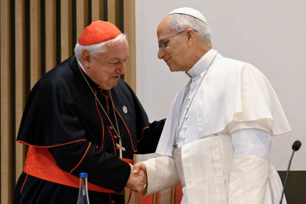 IPA89026206 - France, Lourdes, Vatican, September 27, 2026: Pope Leo XIV meets with the bishops of the French Bishops Conference in the Sainte-Bernadette hemicycle of the Shrine of Our Lady of Lourdes. Photo by VATICAN MEDIA Catholic Press Photo  Copyright: xVATICANxMEDIA xCatholicxPressxPhotox x x2026xVATICANxMEDIA xCatholicxPressxPhotox IPA89026206