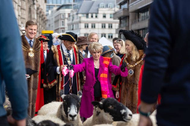 Woolmens Sheep Drive and Livery Fair 2026 on Southwark Bridge, London, UK 27 September 2026 Gloria Hunniford OBE leads the Woolmens Sheep Drive across Southwark Bridge, London, UK, on 27 September 2026. The broadcaster, who became a Freeman of the City of London earlier this year, led the annual drive to mark 80 years in entertainment, joined by Master Woolman David Hopkins, Lady Mayor Dame Susan Langley and Sheriffs of the City of London in aid of the Woolmen s Charity and the Lord Mayor s Appeal., Credit:PETE SPELLER Avalon Copyright: xPETExSPELLERx xAvalonx 1138620828
