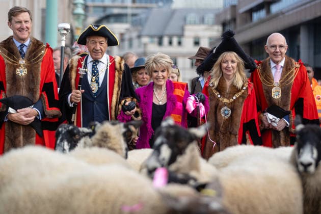 Woolmens Sheep Drive and Livery Fair 2026 on Southwark Bridge, London, UK 27 September 2026 Gloria Hunniford OBE leads the Woolmens Sheep Drive across Southwark Bridge, London, UK, on 27 September 2026. The broadcaster, who became a Freeman of the City of London earlier this year, led the annual drive to mark 80 years in entertainment, joined by Master Woolman David Hopkins, Lady Mayor Dame Susan Langley and Sheriffs of the City of London in aid of the Woolmen s Charity and the Lord Mayor s Appeal., Credit:PETE SPELLER Avalon Copyright: xPETExSPELLERx xAvalonx 1138620835
