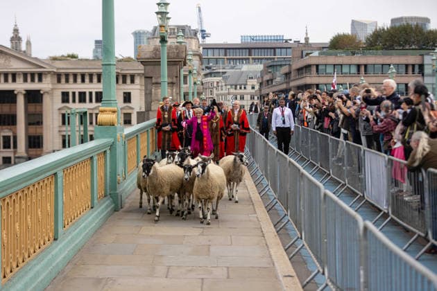 Woolmens Sheep Drive and Livery Fair 2026 on Southwark Bridge, London, UK 27 September 2026 Gloria Hunniford OBE leads the Woolmens Sheep Drive across Southwark Bridge, London, UK, on 27 September 2026. The broadcaster, who became a Freeman of the City of London earlier this year, led the annual drive to mark 80 years in entertainment, joined by Master Woolman David Hopkins, Lady Mayor Dame Susan Langley and Sheriffs of the City of London in aid of the Woolmen s Charity and the Lord Mayor s Appeal., Credit:PETE SPELLER Avalon Copyright: xPETExSPELLERx xAvalonx 1138620842