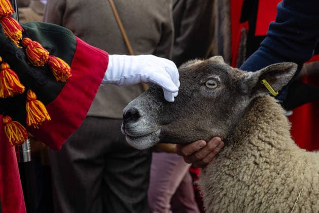 Woolmens Sheep Drive and Livery Fair 2026 on Southwark Bridge, London, UK 27 September 2026 Gloria Hunniford OBE leads the Woolmens Sheep Drive across Southwark Bridge, London, UK, on 27 September 2026. The broadcaster, who became a Freeman of the City of London earlier this year, led the annual drive to mark 80 years in entertainment, joined by Master Woolman David Hopkins, Lady Mayor Dame Susan Langley and Sheriffs of the City of London in aid of the Woolmen s Charity and the Lord Mayor s Appeal., Credit:PETE SPELLER Avalon Copyright: xPETExSPELLERx xAvalonx 1138620868