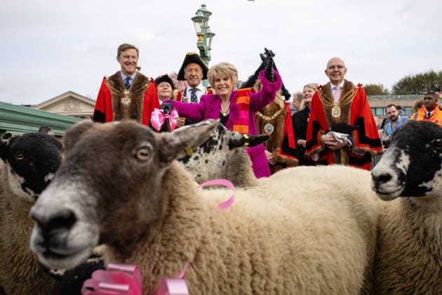 Woolmens Sheep Drive and Livery Fair 2026 on Southwark Bridge, London, UK 27 September 2026 Gloria Hunniford OBE leads the Woolmens Sheep Drive across Southwark Bridge, London, UK, on 27 September 2026. The broadcaster, who became a Freeman of the City of London earlier this year, led the annual drive to mark 80 years in entertainment, joined by Master Woolman David Hopkins, Lady Mayor Dame Susan Langley and Sheriffs of the City of London in aid of the Woolmen s Charity and the Lord Mayor s Appeal., Credit:PETE SPELLER Avalon Copyright: xPETExSPELLERx xAvalonx 1138620919
