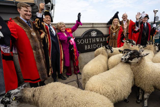 Woolmens Sheep Drive and Livery Fair 2026 on Southwark Bridge, London, UK 27 September 2026 Gloria Hunniford OBE leads the Woolmens Sheep Drive across Southwark Bridge, London, UK, on 27 September 2026. The broadcaster, who became a Freeman of the City of London earlier this year, led the annual drive to mark 80 years in entertainment, joined by Master Woolman David Hopkins, Lady Mayor Dame Susan Langley and Sheriffs of the City of London in aid of the Woolmen s Charity and the Lord Mayor s Appeal., Credit:PETE SPELLER Avalon Copyright: xPETExSPELLERx xAvalonx 1138620961