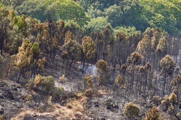 Wildfire in Igualeja, Málaga Images of the wildfire in Igualeja, Málaga September 27, 2026 Á Igualeja, Málaga Igualeja, Málaga, Spain  Copyright: xÃlexxZeax 7804319