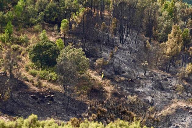 Wildfire in Igualeja, Málaga Images of the wildfire in Igualeja, Málaga September 27, 2026 Á Igualeja, Málaga Igualeja, Málaga, Spain  Copyright: xÃlexxZeax 7804320