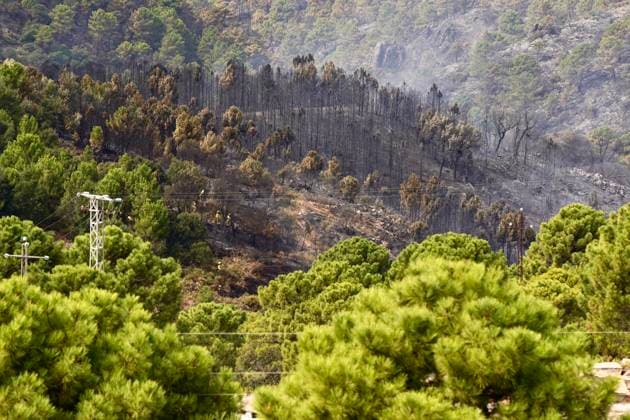 Forest Fire in Igualeja, Málaga Images of the forest fire in Igualeja, Málaga September 27, 2026 Á Igualeja, Málaga Igualeja, Málaga, Spain  Copyright: xÃlexxZeax 7804323