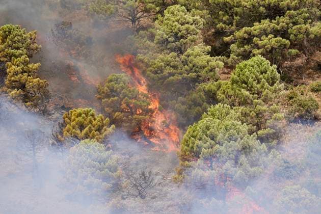Wildfire in Igualeja, Málaga Images of the wildfire in Igualeja, Málaga September 27, 2026 Á Igualeja, Málaga Igualeja, Málaga, Spain  Copyright: xÃlexxZeax 7804304