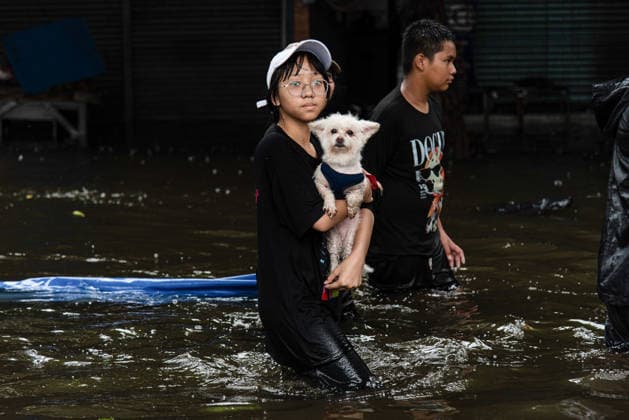 Heavy rain caused flooding in Bangkok, Thailand - 28 Sep 2026 A girl wade with her dog through floodwater during a flood triggered by heavy rain. Bangkok authorities have declared disaster zones across the city after heavy rain following a strong low-pressure system and seasonal monsoon patterns. Bangkok Thailand Copyright: xPeeraponxBoonyakiatx xSOPAxImagex Peerapon-Boonyakiat-1454495