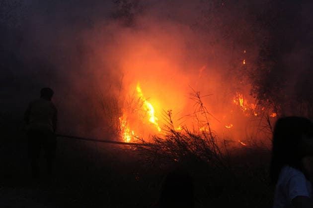 Wildfires rage Indonesia s Palembang PALEMBANG, INDONESIA - SEPTEMBER 28 : Local residents try to extinguish wildfires near they house at Sematang Borang district in Palembang, South Sumatera, Indonesia on September 28, 2026. For weeks, Indonesia has been battling fires that have burned vast swathes of forest and peat ecosystems, causing toxic haze to blanket parts of the country, Malaysia and Singapore. Some 175,000 people in Indonesia have suffered from respiratory illness since August, its health ministry said, as it continues to battle wildfires that have raged for weeks. Muhammad Fajri Anadolu Palembang Indonesia. Editorial use only. Please get in touch for any other usage. Copyright: x2026xAnadoluxMuhammadxFajrix