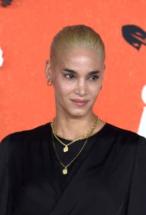 LOS ANGELES, CA - SEPTEMBER 28: Sofia Boutella at the Los Angeles Premiere of Warner Bros. Pictures Digger at Directors Village on September 28, 2026 in Los Angeles, California. Copyright: xJeffreyxMayerx