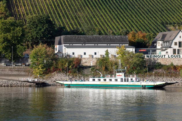 Historic Low Water Level, September 29, 2026: Due to low water levels, the Rhine currently has a water level of minus 27 centimeters at the Kornsand landing site for the Landskrone ferry between Kornsand and Nierstein, near Worms. This is a historic record low. Dredging wo