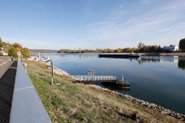 Historic Low Water Level, September 29, 2026: Due to low water levels, the Rhine currently has a water level of minus 27 centimeters at the Kornsand landing site for the Landskrone ferry between Kornsand and Nierstein, near Worms. This is a historic record low. Dredging wo