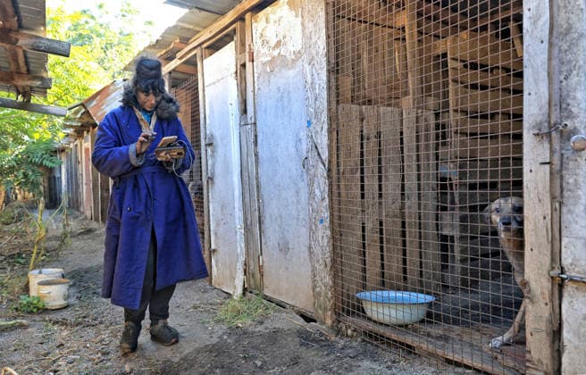 Olha Shylimina, head of the Loving Hearts animal shelter, stands by surviving enclosures for dogs in the Odesa region, Ukraine, September 29, 2026. During a nighttime Russian drone strike, the roof of the building - covering more than 400 square metres - was hit. The fire destroyed the premises along with stocks of grain, medicines, warm blankets, bowls, and other critical supplies. Thirteen animals - 10 cats and three dogs - died as a result of the strike and ensuing fire. (Photo by Nina Liashonok Ukrinform) Russia strikes animal shelter near Odesa  Copyright: xNinaxLiashonokx