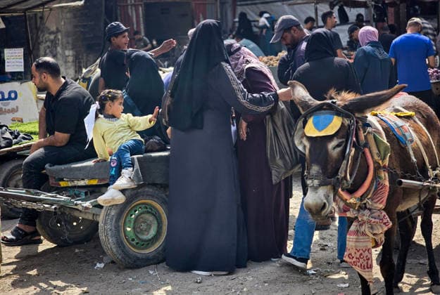 Palestinians Use Animal-Drawn Carts Amid Gaza Transport Crisis Palestinians ride animal-drawn carts to transport people and goods in Khan Younis, in the southern Gaza Strip, on September 29, 2026, amid a severe transportation crisis. Many vehicles were damaged during the war, while shortages of fuel, spare parts, oils and lubricants have forced more vehicles out of service, prompting residents to rely on basic forms of transport. Photo by Tariq Mohammad APA Images Khan Yunis Gaza Strip Palestinian Territory 290926_Khan_Yunis_TM_00(8) Copyright: xapaimagesxTariqxMohammad xapaimagesx