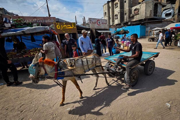 Palestinians Use Animal-Drawn Carts Amid Gaza Transport Crisis Palestinians ride animal-drawn carts to transport people and goods in Khan Younis, in the southern Gaza Strip, on September 29, 2026, amid a severe transportation crisis. Many vehicles were damaged during the war, while shortages of fuel, spare parts, oils and lubricants have forced more vehicles out of service, prompting residents to rely on basic forms of transport. Photo by Tariq Mohammad APA Images Khan Yunis Gaza Strip Palestinian Territory 290926_Khan_Yunis_TM_00(1) Copyright: xapaimagesxTariqxMohammad xapaimagesx