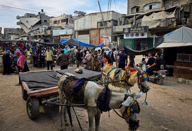 Palestinians Use Animal-Drawn Carts Amid Gaza Transport Crisis Palestinians ride animal-drawn carts to transport people and goods in Khan Younis, in the southern Gaza Strip, on September 29, 2026, amid a severe transportation crisis. Many vehicles were damaged during the war, while shortages of fuel, spare parts, oils and lubricants have forced more vehicles out of service, prompting residents to rely on basic forms of transport. Photo by Tariq Mohammad APA Images Khan Yunis Gaza Strip Palestinian Territory 290926_Khan_Yunis_TM_00(4) Copyright: xapaimagesxTariqxMohammad xapaimagesx