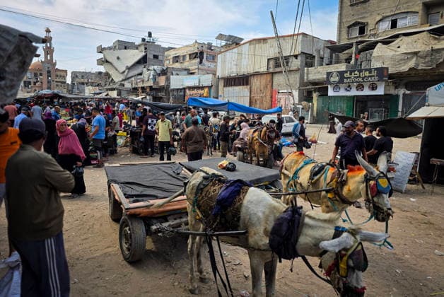 Palestinians Use Animal-Drawn Carts Amid Gaza Transport Crisis Palestinians ride animal-drawn carts to transport people and goods in Khan Younis, in the southern Gaza Strip, on September 29, 2026, amid a severe transportation crisis. Many vehicles were damaged during the war, while shortages of fuel, spare parts, oils and lubricants have forced more vehicles out of service, prompting residents to rely on basic forms of transport. Photo by Tariq Mohammad APA Images Khan Yunis Gaza Strip Palestinian Territory 290926_Khan_Yunis_TM_00(5) Copyright: xapaimagesxTariqxMohammad xapaimagesx