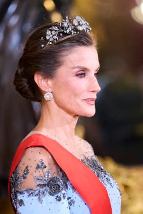 29-09-2026 Gala Queen Letizia pose before the galadinner at the royal palace in Madrid on the 1st day of the 2 day statevisit to Spain. No Spain Â  Copyright: xPPEx