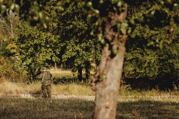A soldier, photographed during the Vigilant Roland II exercise conducted by the Bundeswehr’s Homeland Security Division in a public area in Stendal, September 29, 2026 As part of the exercise, the soldiers are training, among other things, in providing aid following a car accident and in preventing espionage attempts by enemy forces. Stendal, Germany Copyright: xFlorianxGaertnerx