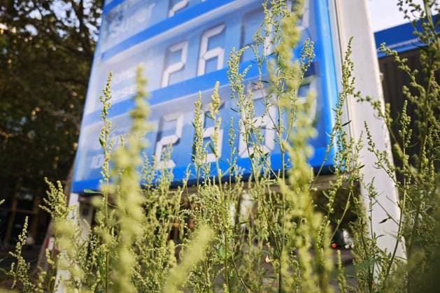 Berlin, Germany, September 30, 2026 Price board at an Aral gas station Copyright: xdtsxNachrichtenagenturx dts_136831