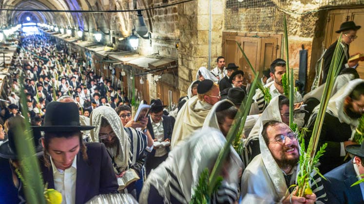 Religious Jews hold the four species as they perform morning prayers during the Holy Week of Sukkot, or the Feast of Tabernacles, in the Moslem Quarter in Jerusalem on Wednesday, September 30. 2026 Thousands of Jews, mostly ultra-Orthodox, packed a street leading to a gate, which was closed, leading into the Temple Mount or the á¸¤aram al Sharif where the Al Aqsa Mosque is located.  JER20260930004 JimxHollander