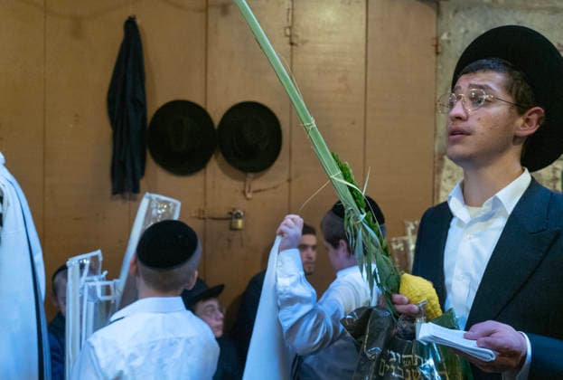 An ultra-Orthodox Jewish man hold the four species during a mass prayer during the Holy Week of Sukkot, or the Feast of Tabernacles, held in the Moslem Quarter in Jerusalem on Wednesday, September 30. 2026. Thousands of Jews, mostly ultra-Orthodox, packed a street leading to a gate, which was closed, leading into the Temple Mount or the á¸¤aram al Sharif where the Al Aqsa Mosque is located.  JER20260930006 JimxHollander