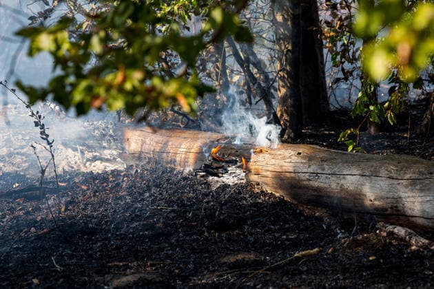Forest Fire Covers About 12,600 Square Meters; Presence of Ammunition Complicates Firefighting Ef