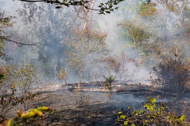Forest Fire Covers About 12,600 Square Meters; Presence of Ammunition Complicates Firefighting Ef