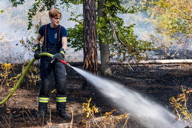 Forest Fire Covers About 12,600 Square Meters; Presence of Ammunition Complicates Firefighting Ef