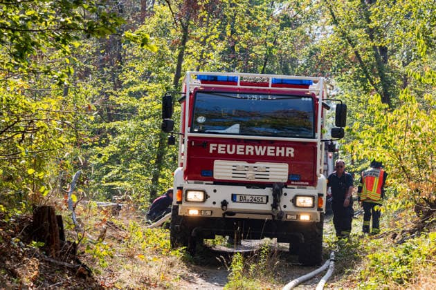 Forest Fire Covers About 12,600 Square Meters; Presence of Ammunition Complicates Firefighting Ef