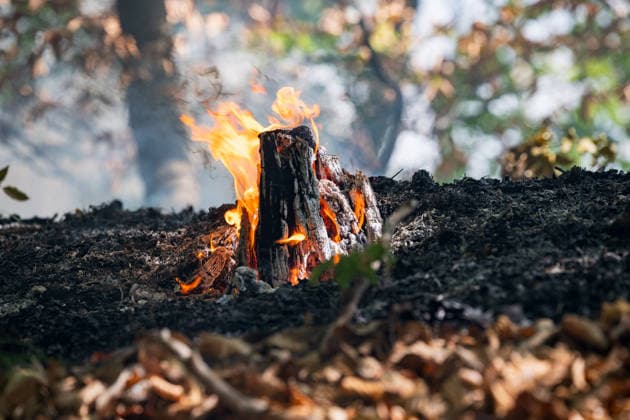 Forest Fire Covers About 12,600 Square Meters; Presence of Ammunition Complicates Firefighting Ef
