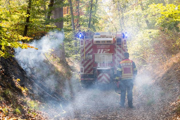 Forest Fire Covers About 12,600 Square Meters; Presence of Ammunition Complicates Firefighting Ef
